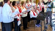 Vignette